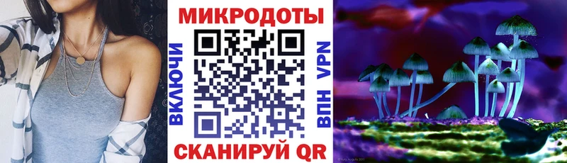 omg зеркало  Сокол  Псилоцибиновые грибы Cubensis 