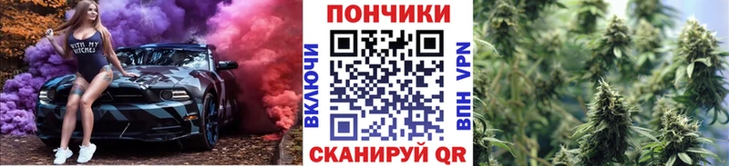 Бошки марихуана Amnesia  Сокол 